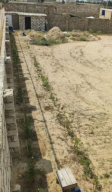 12 sot, Mülkiyyətçi, Kupça (Çıxarış) — 1