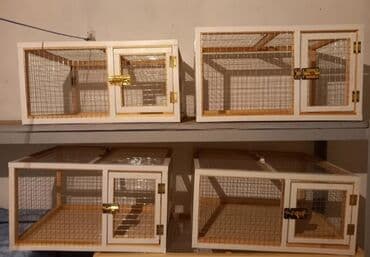 купить клетку для морской свинки: Dovşan,şinşila,bildirçin,cücə,xamyak,pişik,quş ve s kimi ev heyvanlari — 5