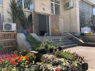 nerimanov icare obyekt: Elimlər metrosuna yaxın sahəsi 250 kv/m olan, 5 otağlı obyekt — 10