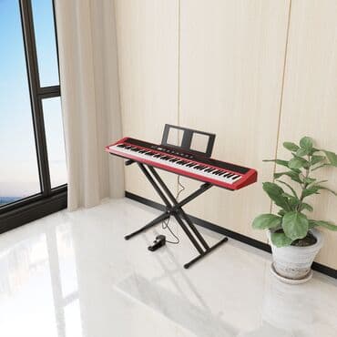 турецкие музыкальные инструменты: Пианино, Цифровой, Новый, Самовывоз — 2