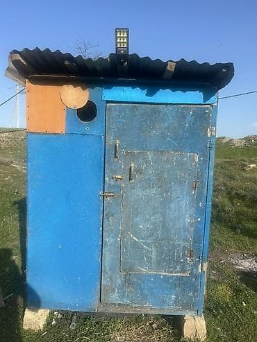 camis heyvan: Salam. Goyercin dami eni-1.38sm — 4