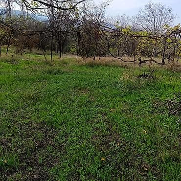 Продажа дач: Satışa təqdim olunur: yeni tikili həyət evi və geniş torpaq sahəsi 24 — 3