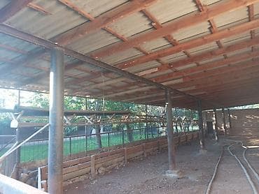 Qarajlar: Kənd təsərrüfatı — 5