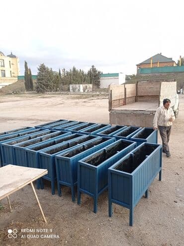 otaq bitkisi: Dibçək güldanlar. Dipçəklər bir başa sexdən.Sex qiymətinə. ♦️Endrim — 4