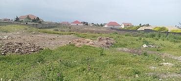 Tikinti — 2