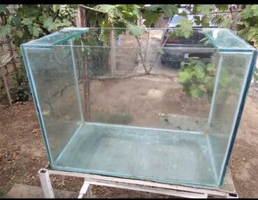 akvarum matoru: 3 ədəd akvarium en yekesi 300litr tutur heyətdə çekilen 150litr — 7