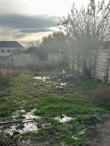 türkanda bağ evi satılır: 8 соток, Для сельского хозяйства, Собственник, Бялядия (муниципалитет) — 2