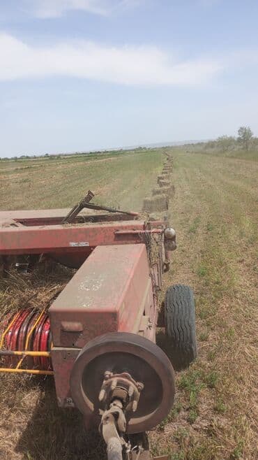 Dam örtükləri: Pres baqlyan — 3