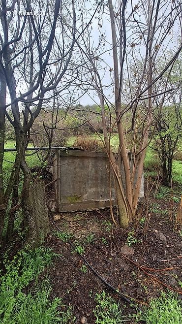 əmircanda ev: Dağ ətəyində yerləşən FERMA 2 hektar erazi iribuynuzlu ve — 10