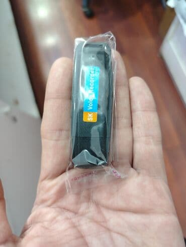 pulsuz mp3 yukle: Hər növ kiçik Diktafonlar — 2