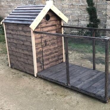 i̇tlər afcarka: İtlər — 1