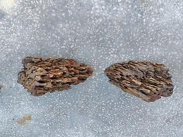 alpin kecisi: Dragon daşları, Koregalar, Akvaryum dekoru üçün təbii materiallar — 8