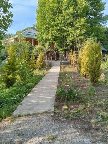 Şamaxı şəhəri çuxuryurd kəndi Yaşıl ağaclarla əhatələnmiş həyətyanı