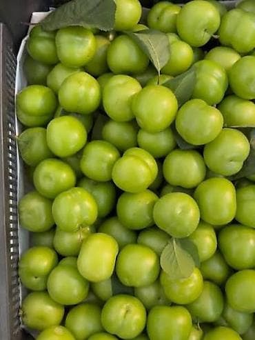 meyvə şəkilləri: Təmiz Göycə şəhər daxili boltla catdırma var super dadlı çiyələylərdə — 5