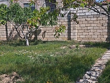 Otaqlar: 6 sot, Makler, Kupça (Çıxarış) — 6