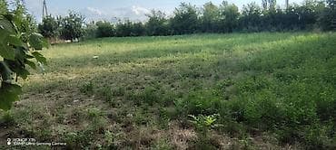 neftciler ev alqi satqisi: 10 sot, Tikinti, Kupça (Çıxarış) — 8