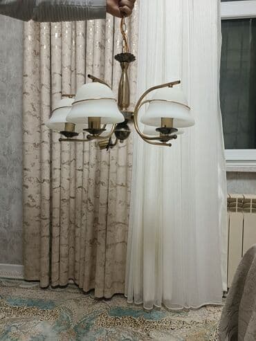 Bitkilər üçün dibçəklər: Çılçıraq — 4