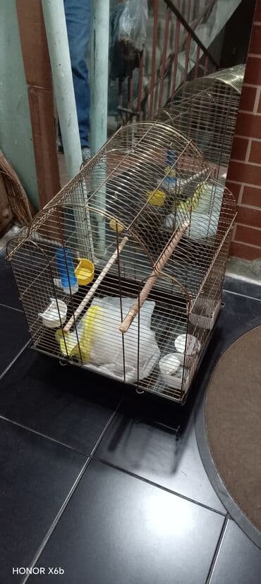 tikdirmek ucun don modeli: Quş qəfəsi satılır dəst — 1