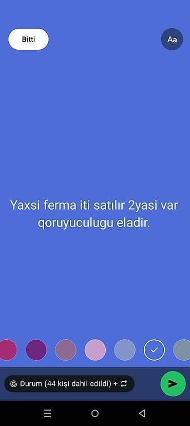 İtlər: Alman çoban iti, 2 il, Erkek, Peyvəndli, Ödənişli çatdırılma — 1