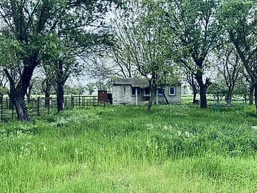 sumqayıt ev alqı satqısı 2018: Для сельского хозяйства, Купчая — 8