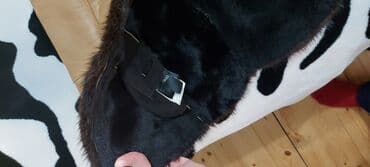 drap palto: Teze kimidir.temiz kojadir — 4