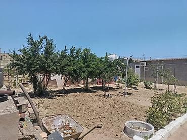 Satılır: həyət evi Əlaqə nömrəsi: 0506307210 - Tikinti: daş divarlar — 8