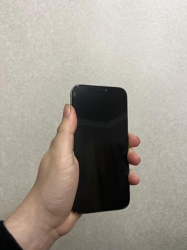 opad 14 mini: IPhone 12 Pro, 128 GB, Graphite, Face ID — 2