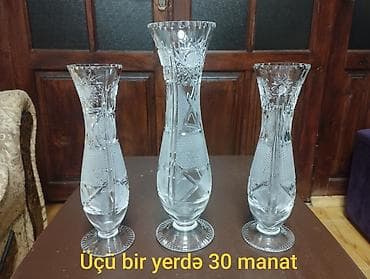 Böyük güldanın hündürlüyü 30 sm, balaca güldanların hündürlüyü 25 sm