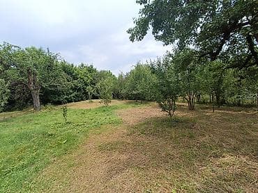 3 sot, Tikinti, Mülkiyyətçi, Kupça (Çıxarış) — 3
