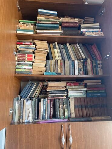 11 ədəbiyyat metodik vəsait: Kitablar — 1