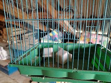 Digər heyvanlar: Quş qəfəsi - Material: metal şəbəkə (mavi rəng) + plastik altlıq — 1