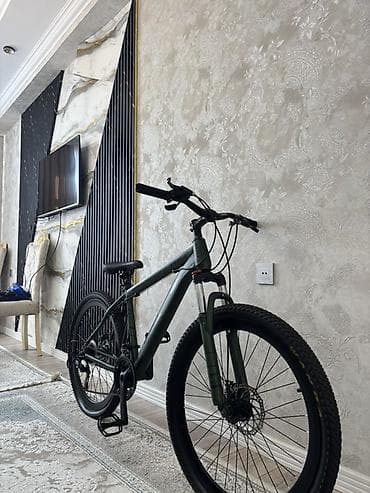 yasebet: Dağ velosipedi – 26 təkərli, disk əyləcli - Çərçivə: alüminium, mat — 1