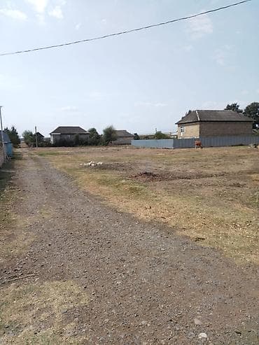 hokmelide kiraye evler: 2133 sot, Biznes üçün, Maklerlər narahat etməsin, Kupça (Çıxarış) — 3