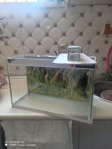 Şüşə akvarium Mənzərəli fonu var qiymət sondur - Şəffaf şüşədən