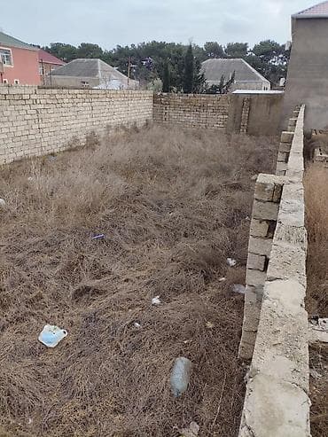 torpa: Tikinti — 2