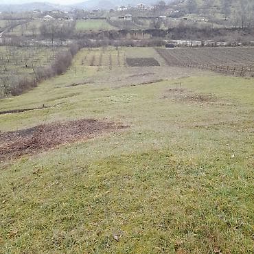 ucuz torpaqlarin satisi: Kənd təsərrüfatı — 4