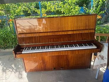 İdman və hobbi: Piano, Belarus, Akustik, İşlənmiş, Ünvandan götürmə, Pulsuz çatdırılma, Ödənişli çatdırılma — 1