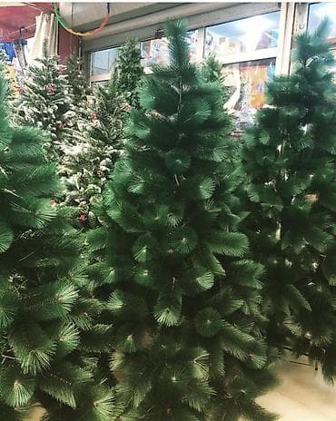 suni agaclar: Sifarisle eve getiririk Catirilma pulsuz whatsapp aktivdir 1.20-30 — 1