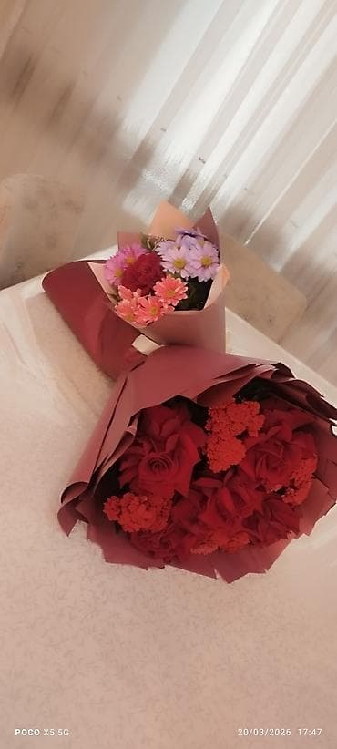 buketi roz: Daye isi axtariram.oz evimde baxmaq şərti ile.heftenin 5 gunu — 1