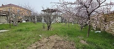 bir otaql: Satılır və ya Bina evi ilə dəyişdirilə bilər. Dənizə maşınla 15 — 10