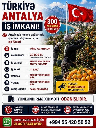 Türkiyədə meyvə bağlarına işçilər lazımdır yeməydi qalmağdı hərbiri — 1