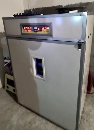 Оборудование для производства: 1100 яиц, Китай, Полностью автоматическая — 1