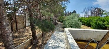 kiridit ev: Sahəsi geniş, yaşıllaşdırılmış həyəti olan bina. Həyətdə ağaclar — 7