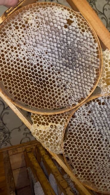 bal: 100% Tam Təbii bal. Endirim: İlk defe alanlara 10% endirim. 4kq — 6