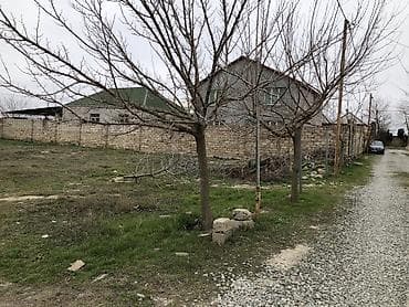 binede torpaq satilir: Tikinti — 5