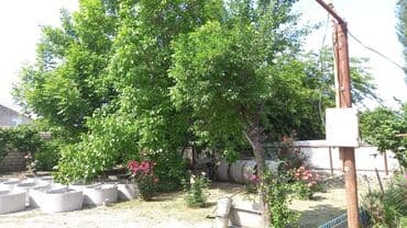 домики в набране: Qiymət sondur. Əla yerləşmə: Heydər Əliyev küçəsi Yalama kəndinin — 4