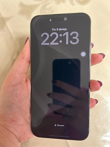 dubayski iphone 13: IPhone 15 Pro Max, 256 GB, Natural Titanium, Face ID — 5