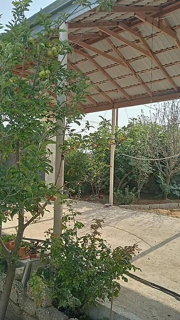 divar paneleri: Ev Qala qəsəbəsi Xaşaxuna bağları hərbi hissə ilə üzbəüz yoldan 600m — 9