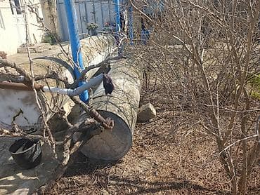 Beton silindrik su anbarı / çən - Material: monolit beton - Forma