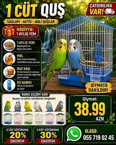 korella quş: 1 cüt dalğalı tutuquşu – sağlam, aktiv, əhli. Daxildir: - Qəfəs (bir — 1